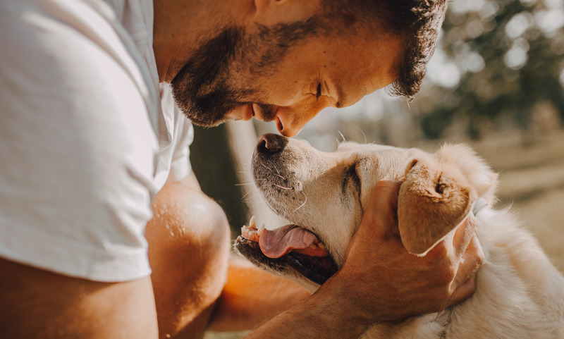 Come eliminare il cattivo odore del cane in casa?